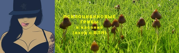 круглые Арсеньев